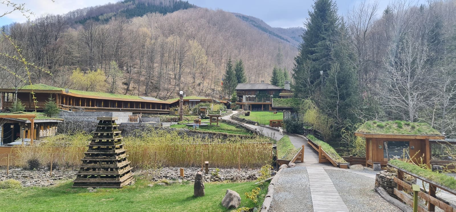 Certificare FSC – ce este și cum se obține