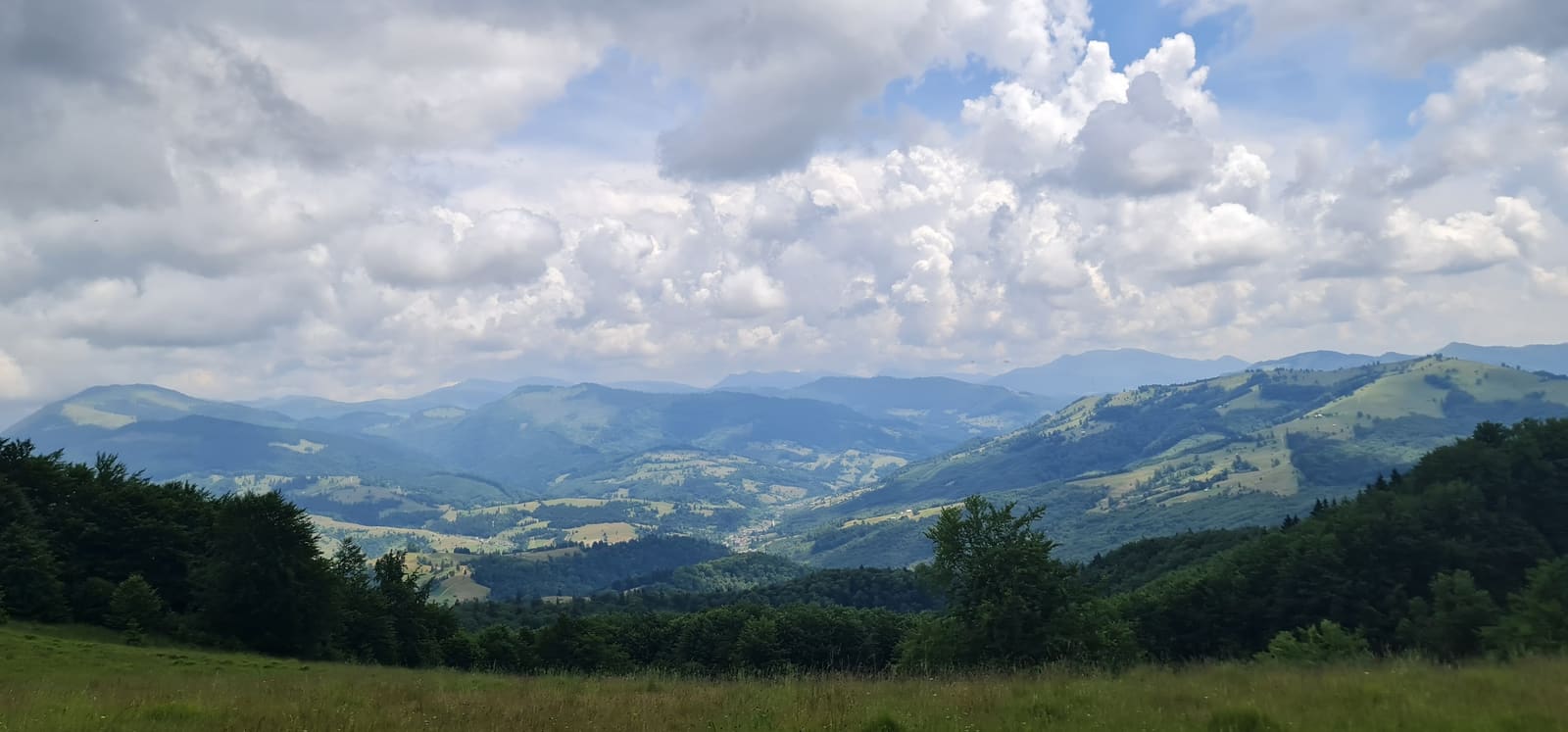 Cât costă certificarea FSC